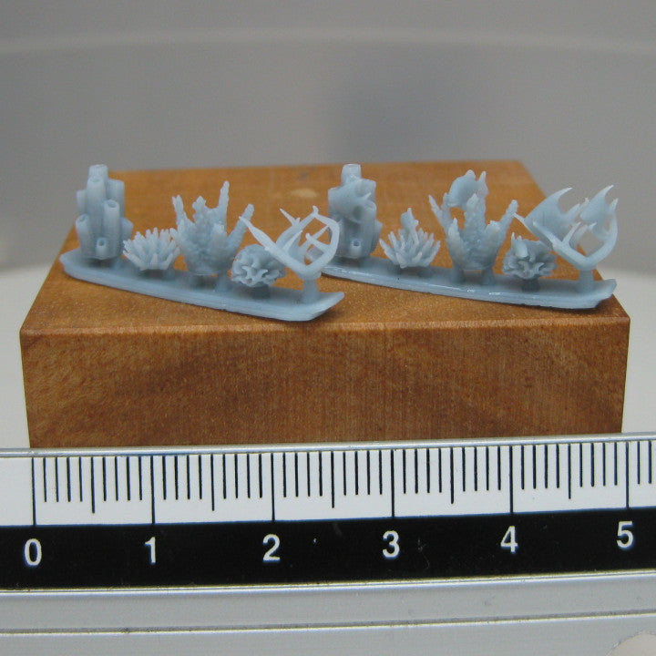 Seaplants