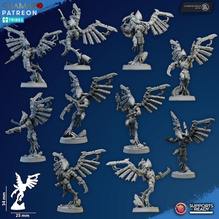 Talon Marauders - Vulturak