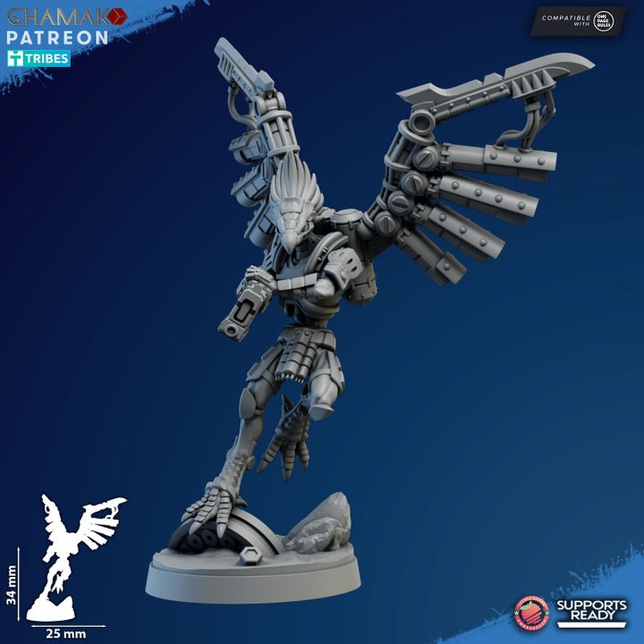 Talon Marauders - Vulturak