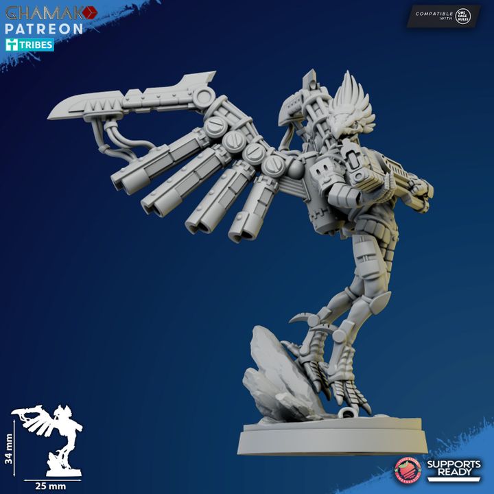 Talon Marauders - Vulturak