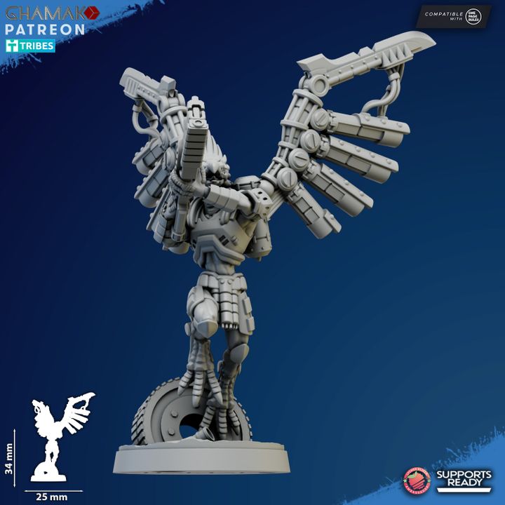 Talon Marauders - Vulturak