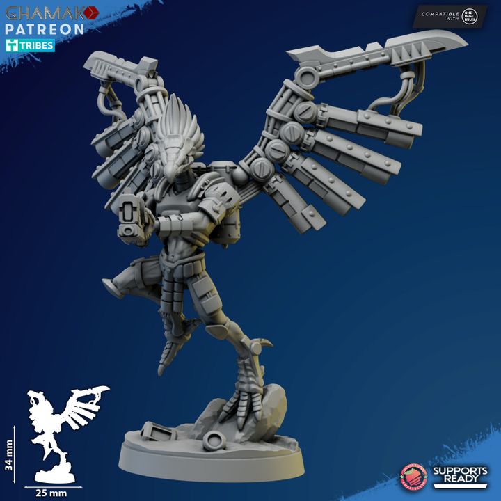 Talon Marauders - Vulturak