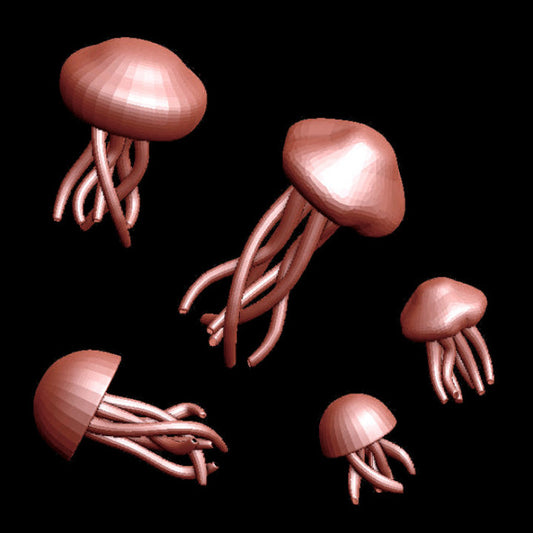 Jellyfish