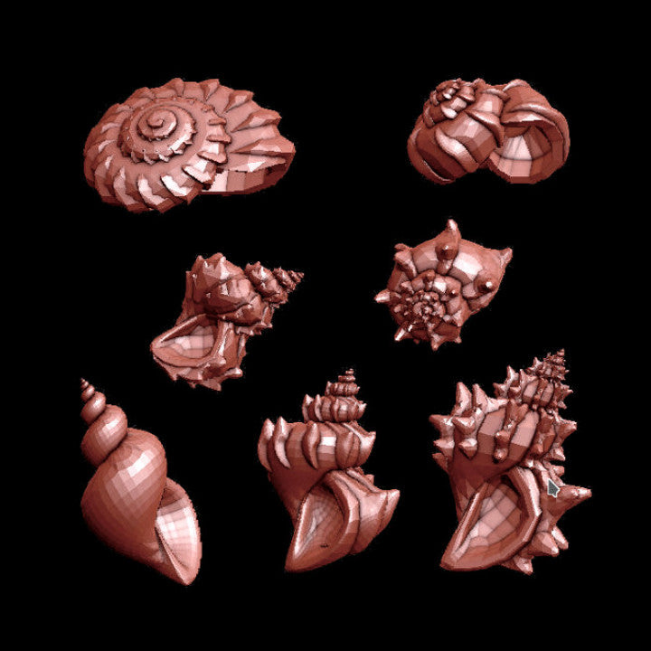 Spiral Shells