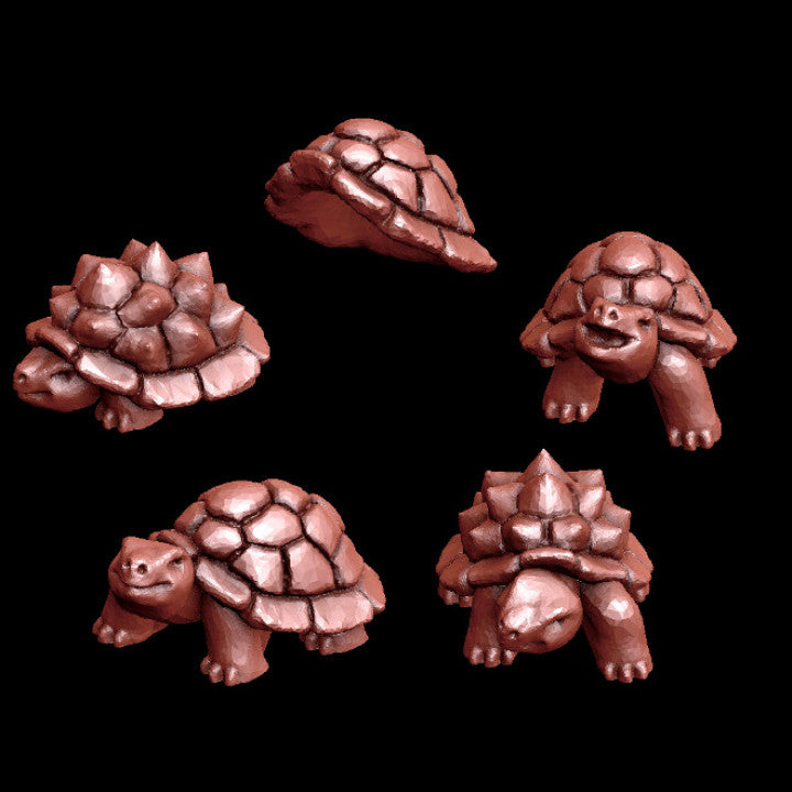 Tortoises