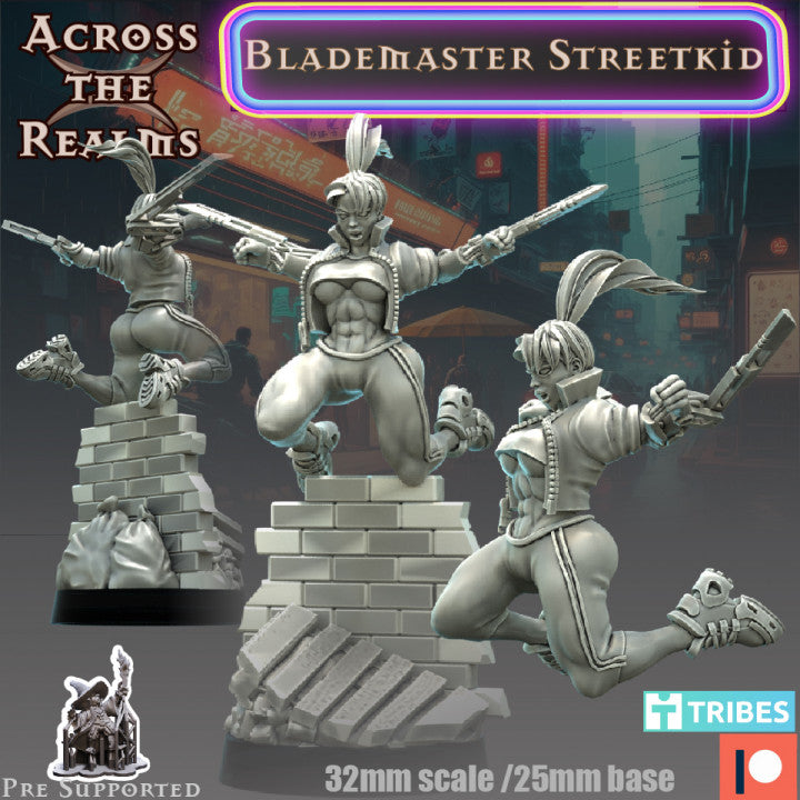 Blademaster Streetkid - Across the Realms