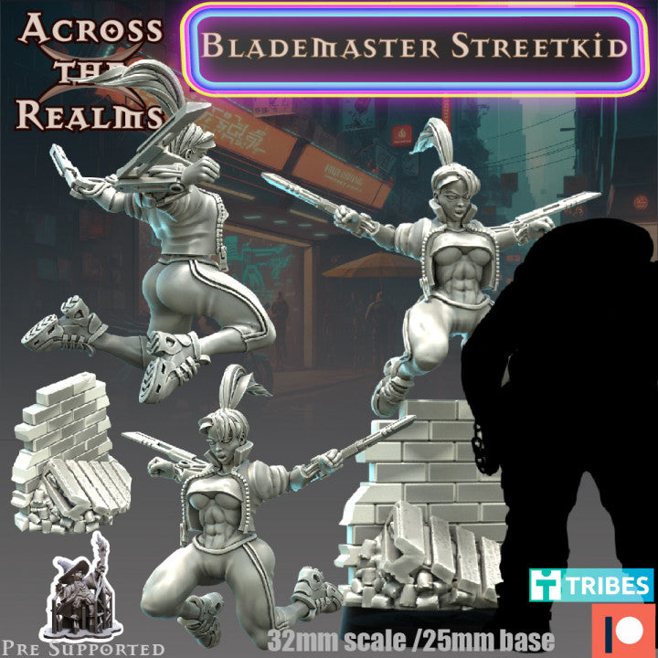 Blademaster Streetkid - Across the Realms