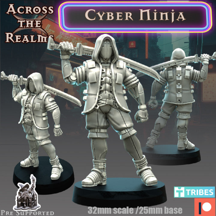 Cyber Ninja - Across the Realms