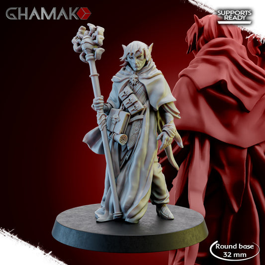 Dark Mage Elf - Aerum Elves