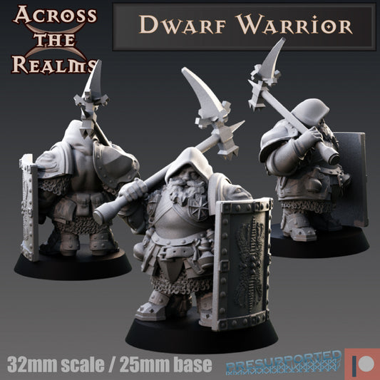 Dwarf Warrior - Across the Realms