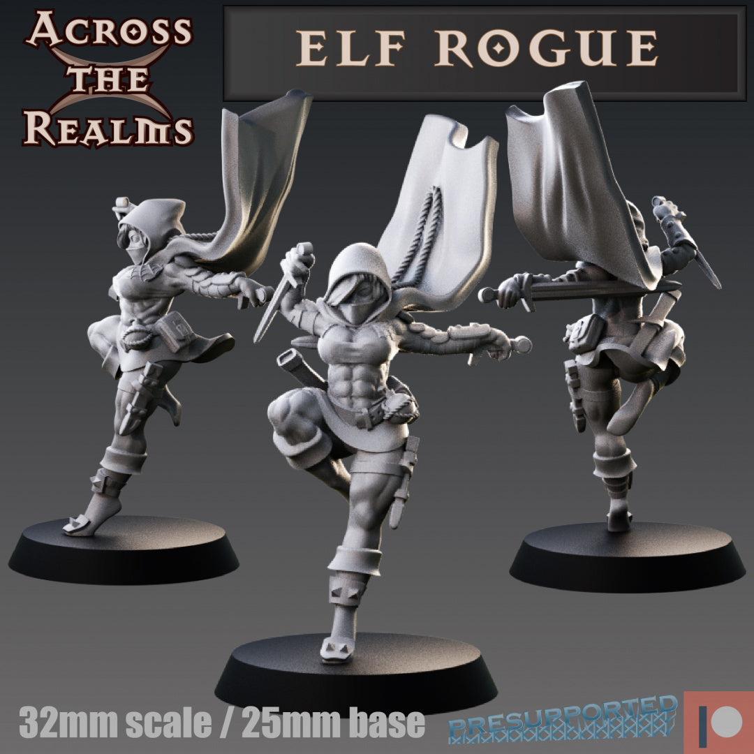 Elf Rogue - À travers les royaumes