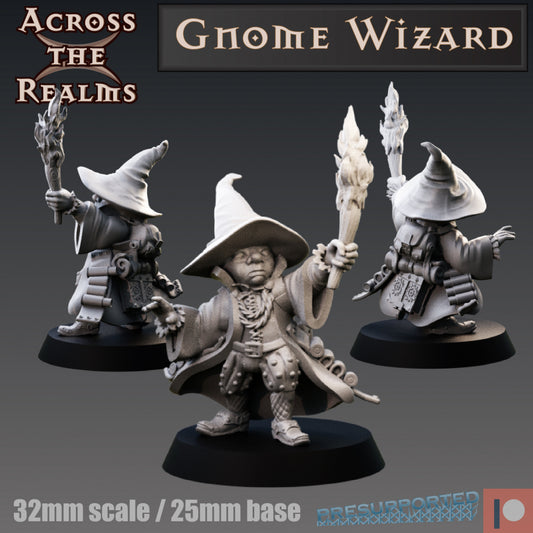 Gnome Wizard - Across the Realms