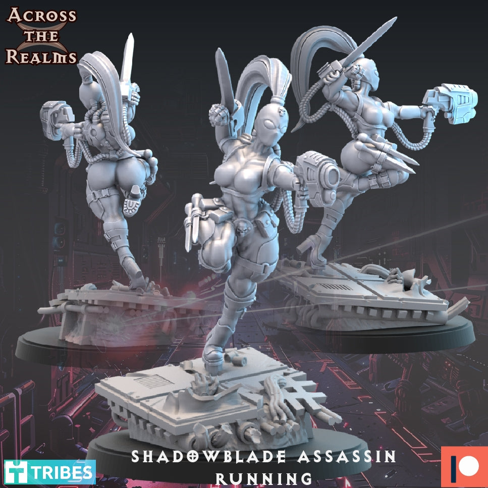 Shadowblade Assassin - Across the Realms