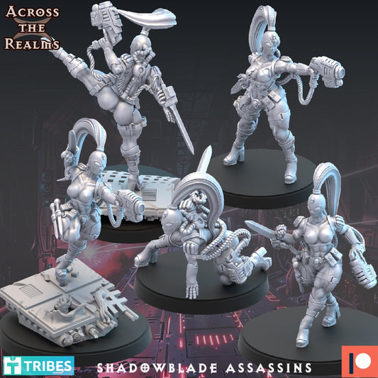 Shadowblade Assassin - Across the Realms