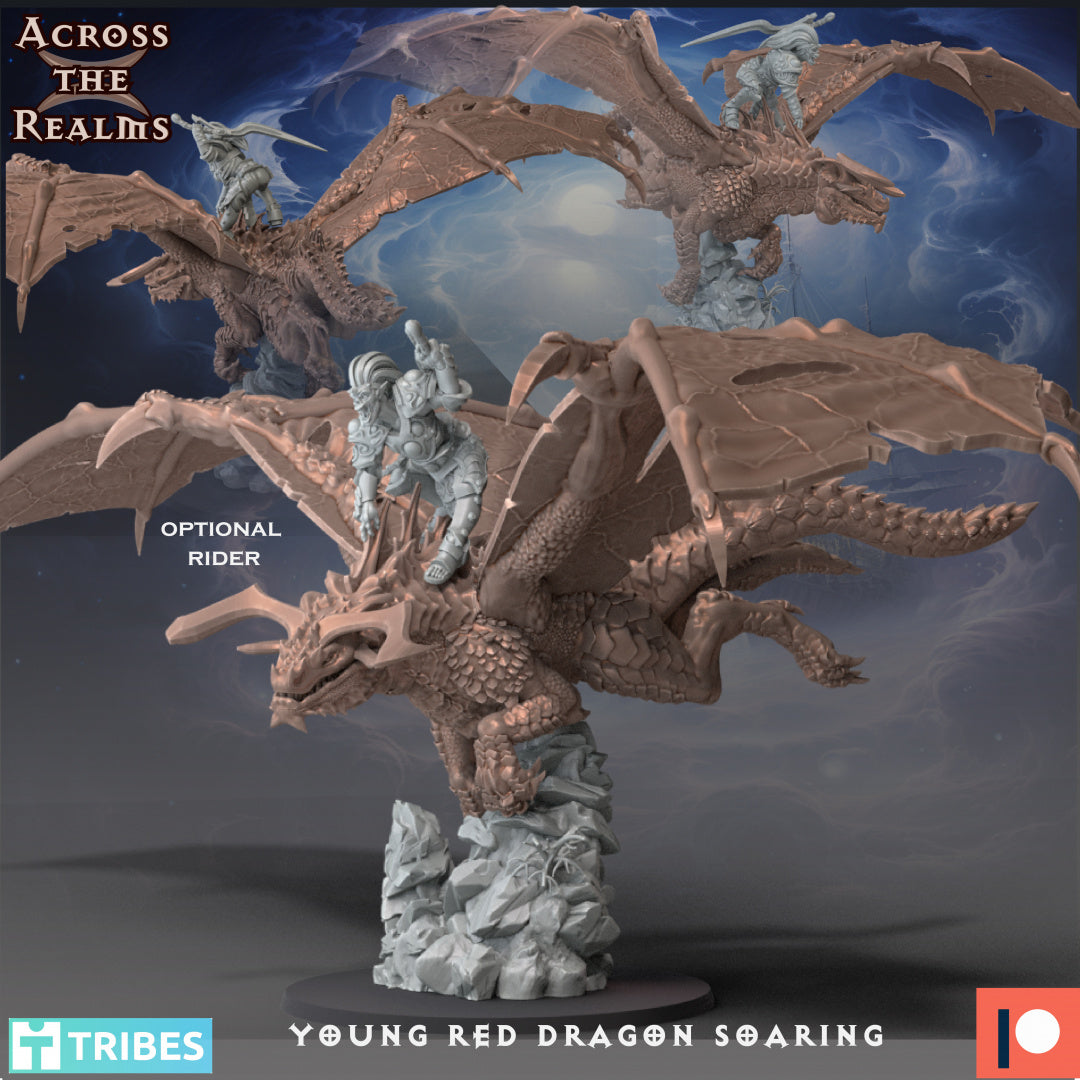 Young Red Dragon Soaring - Across the Realms